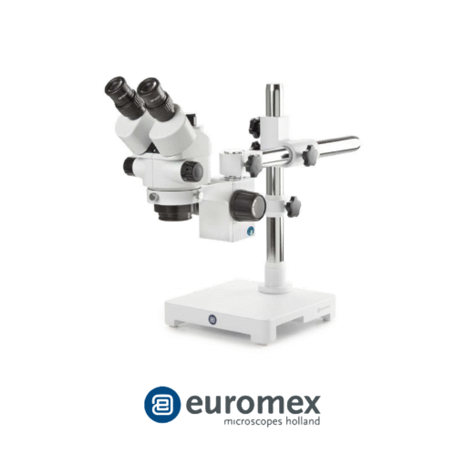 Microscopios Euromex